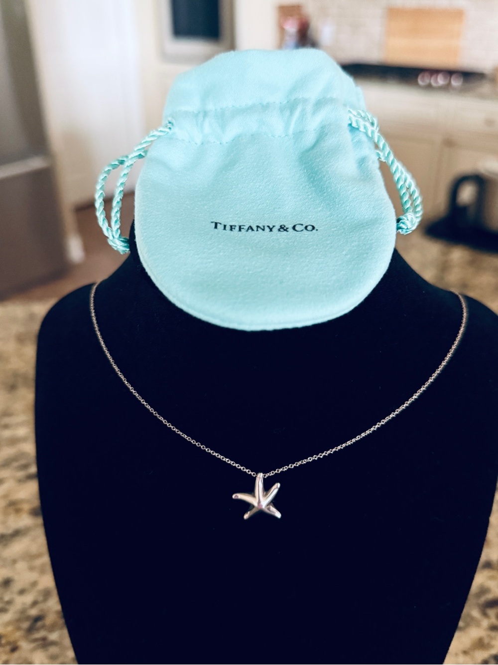 Tiffany & Co - Elsa Peretti - Starfish Pendant and Chain - AG925 Silver 🩵
